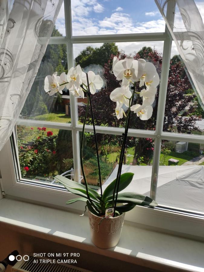 Blumen Apartment Αμβούργο Εξωτερικό φωτογραφία